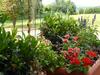 Apartamento Appart'hotel Les Acacias