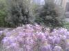 Bed & Breakfast La Villetta