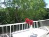 Apartamentos R�sidence Sainte Annette