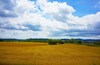 Agroturismo Enc�s D'empord� -adults Only-