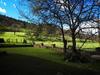 Agroturismo Finca Artienza