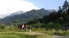 Villa Farmhouse Rosehip Romania Brasov