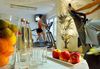 Hotel Courtyard By Marriott Hamburg Airport