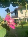 Hotel The Hip Resort @ Khao Lak