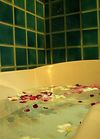 Hotel Golden Beach Resort