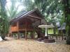 Hotel Khao Sok Palmview Resort