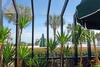 Apartamento Ocean Forest 1611