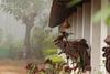 Annapara Home Stay