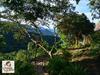 Lodge Sierra Alta Fb