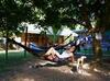 Fat Monkey Hostel