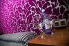 Hotel Los Braseros