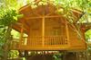 Hotel Bamboo Creek Resort