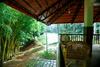 Hotel Bamboo Creek Resort