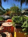 Hostal Leo's Baja Oasis
