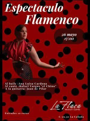 Espectáculo flamenco en vivo