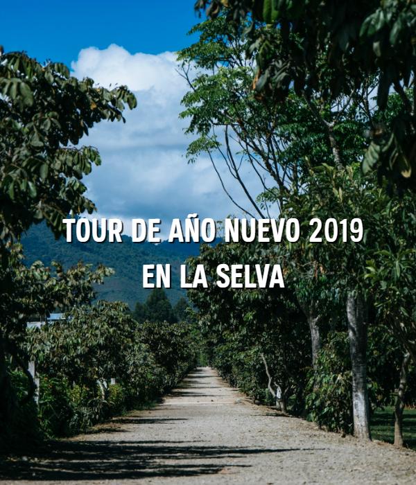 Tour de Año Nuevo 2019 en la selva