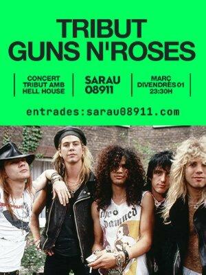 Tribut Guns'n'Roses al Sarau08911