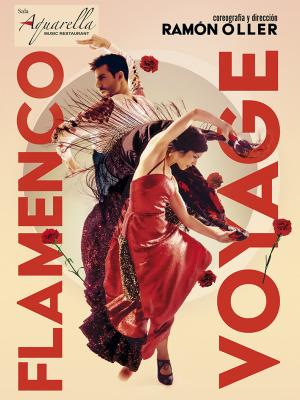 Flamenco Voyage