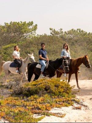 Tour a Comporta y Setúbal con paseo a caballo desde Lisboa