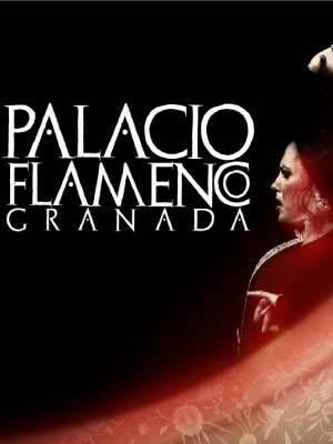 Flamenco en Palacio - Granada